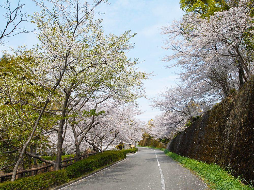 うしぶか公園