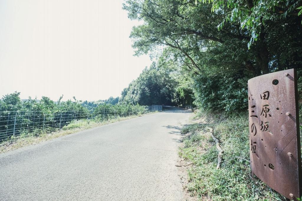 写真：三の坂の看板