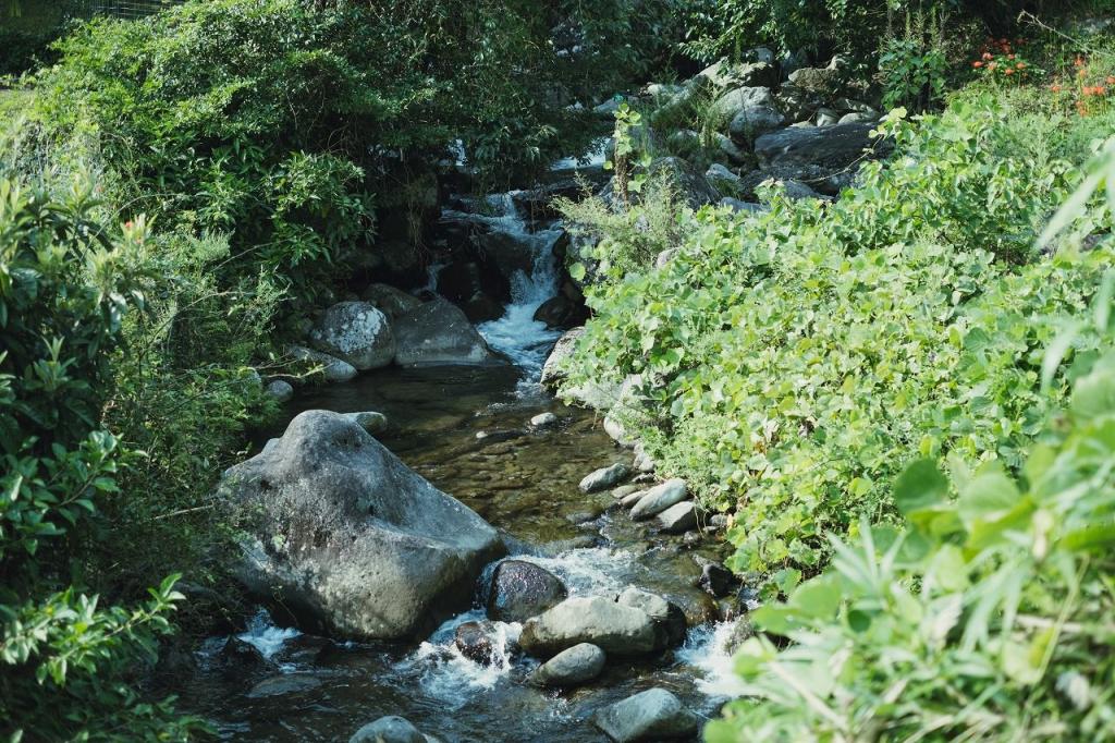 写真：小川