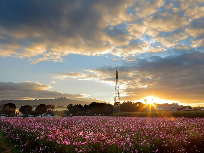 写真:菊池市商工観光課