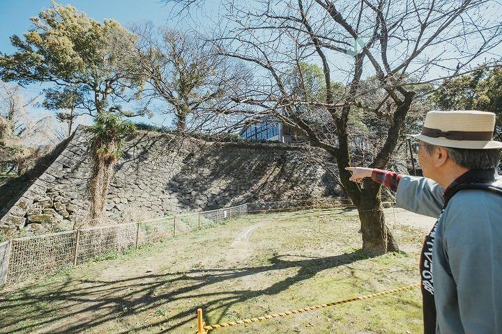 写真：堀の跡を指さす橋本さん