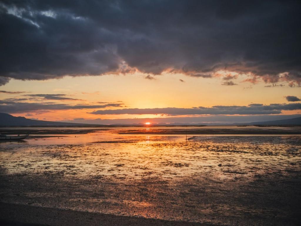 写真：荒尾干潟の夕日が沈む様子