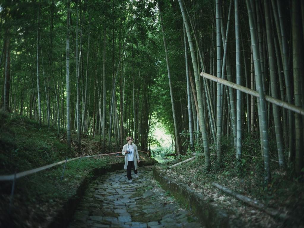 写真：薄暗い竹林を歩く女性