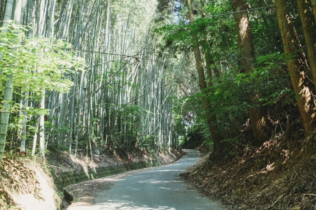 写真：田原坂は攻めにくいように工夫がされている道