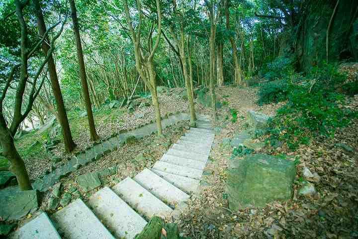 写真：西平椿公園内の階段