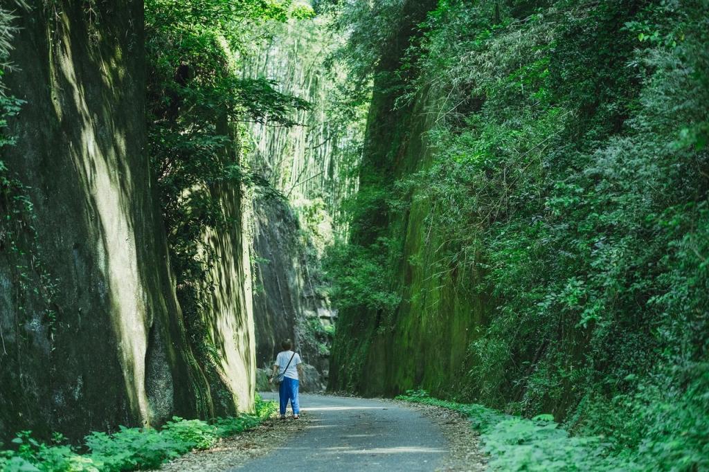 写真：緑に囲まれた道を進んでいく人