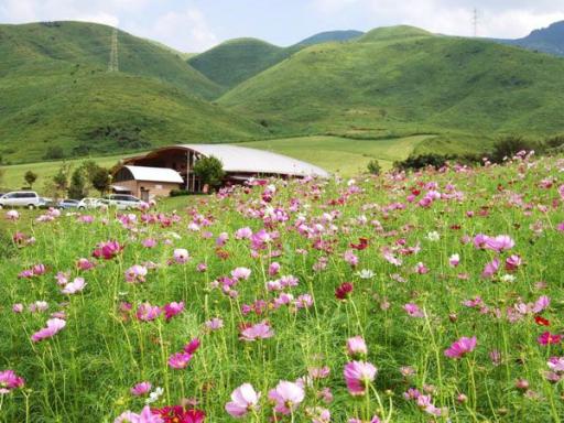 俵山交流館 萌の里 観光地 公式 熊本県観光サイト もっと もーっと くまもっと