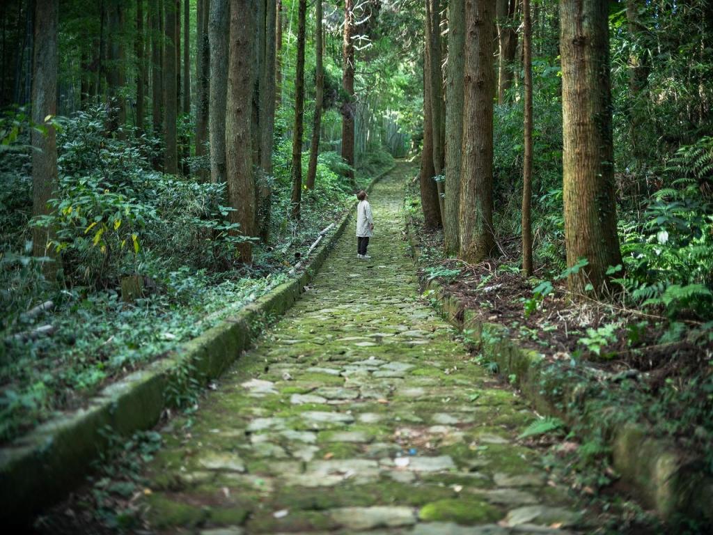 写真：苔が生えた石畳を歩いている女性