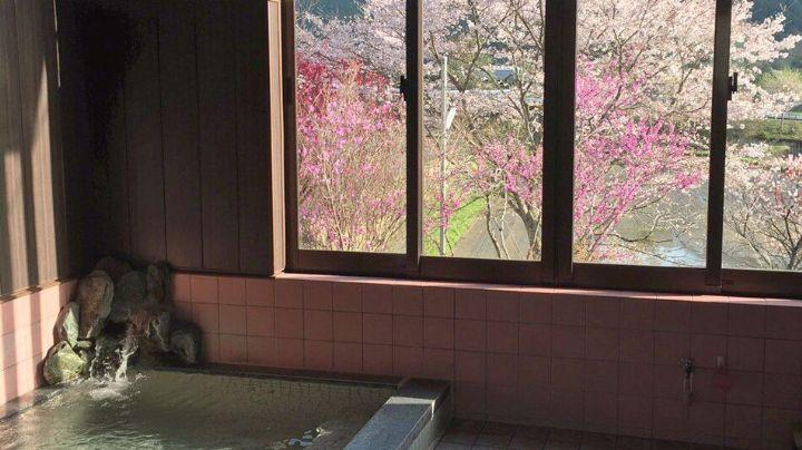 写真：湯山温泉のお湯
