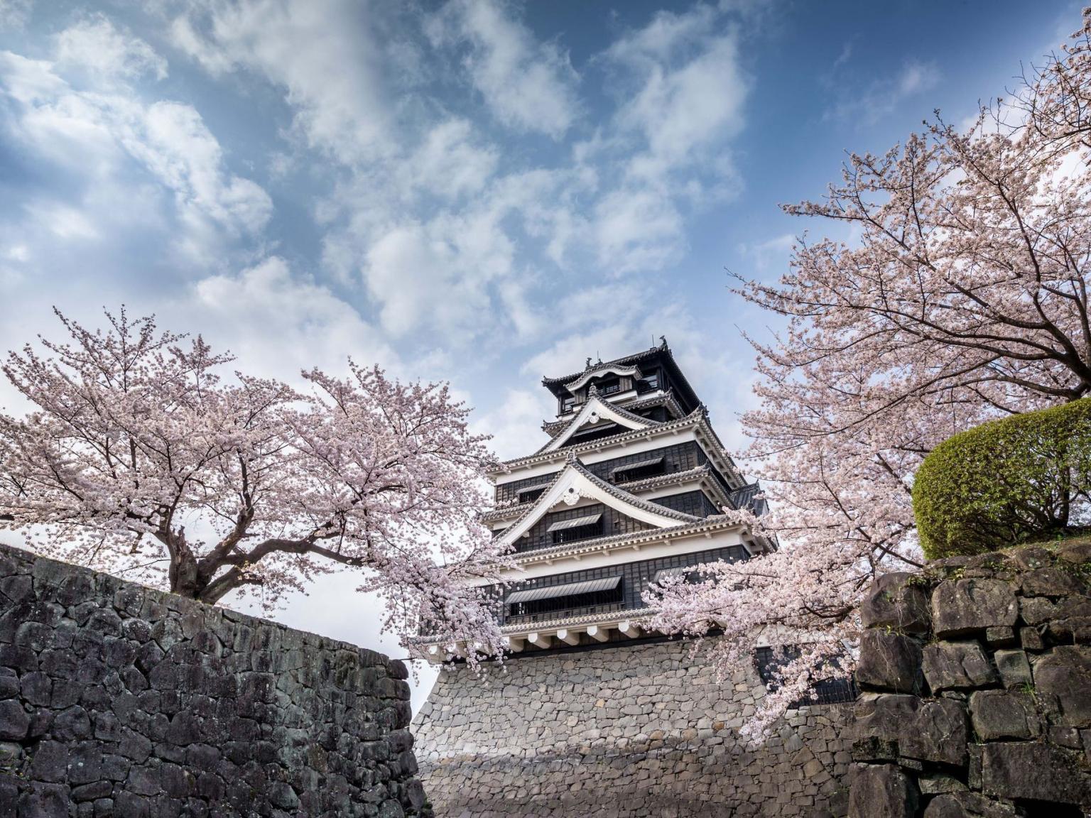 熊本城の画像