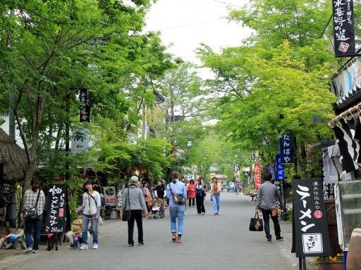 阿蘇神社参道