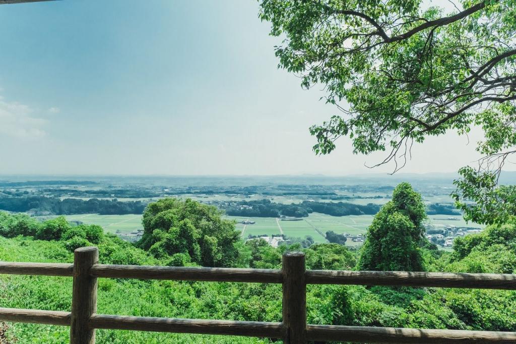 写真：展望台からの景色