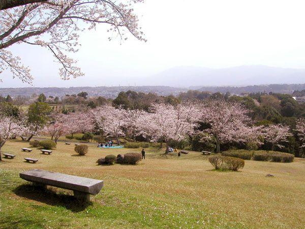 村山公園の画像
