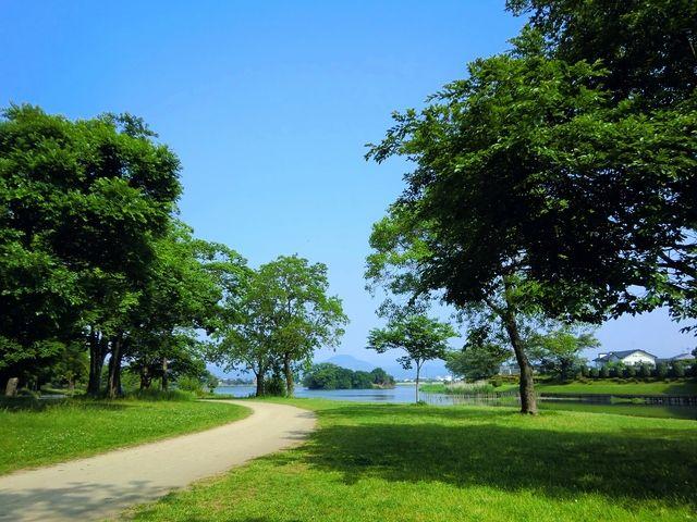 水前寺江津湖公園の画像