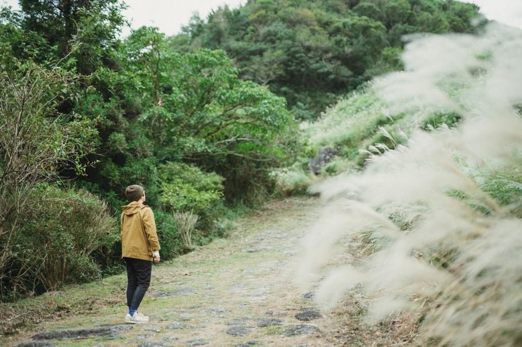 写真：ススキの傍に立つ女性