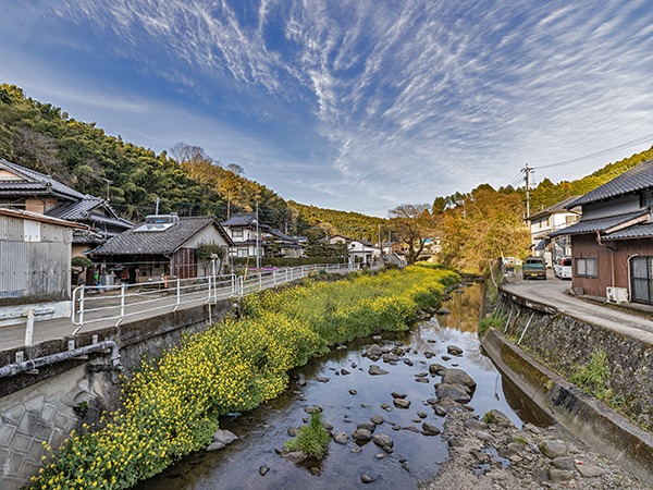 徳富蘇峰先生誕生地碑の画像