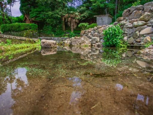 妙見神社の池