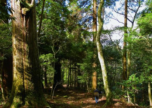 画像：お嶽さん参り