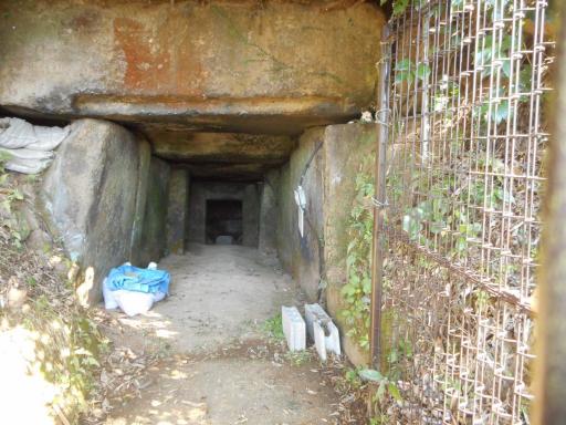 画像：大野窟古墳