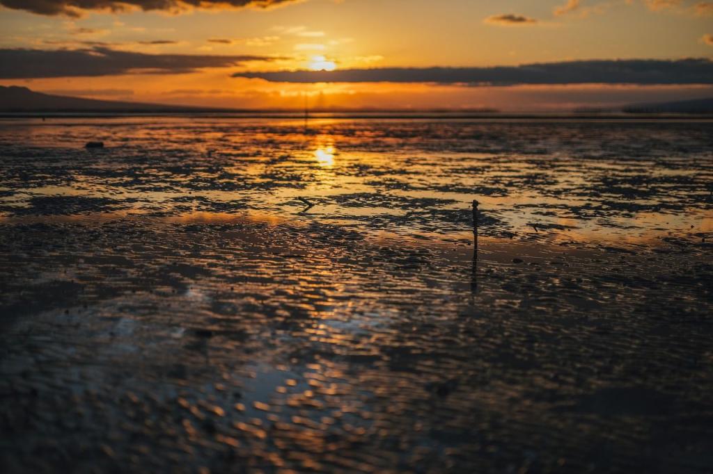 写真：荒尾干潟と夕日