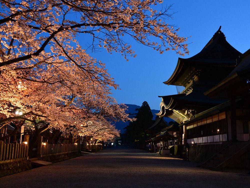 阿蘇神社の画像