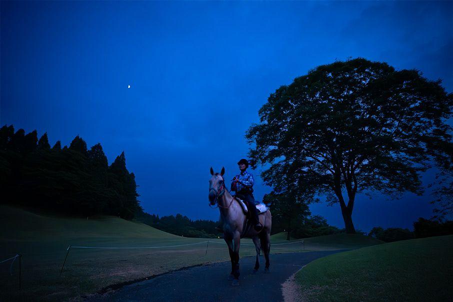 月が出る夜にゴルフ場を馬で歩く様子の写真