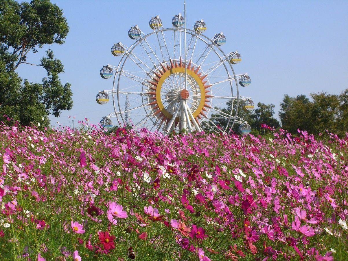 写真:熊本市動植物園