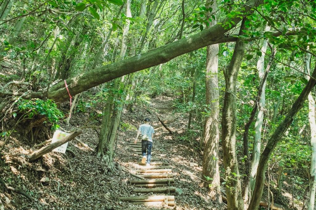 写真：木々に囲まれた山道を登っている人