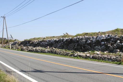 画像：高島新地旧堤防跡（八代海干拓遺跡）