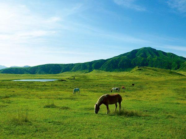 草千里ヶ浜の画像