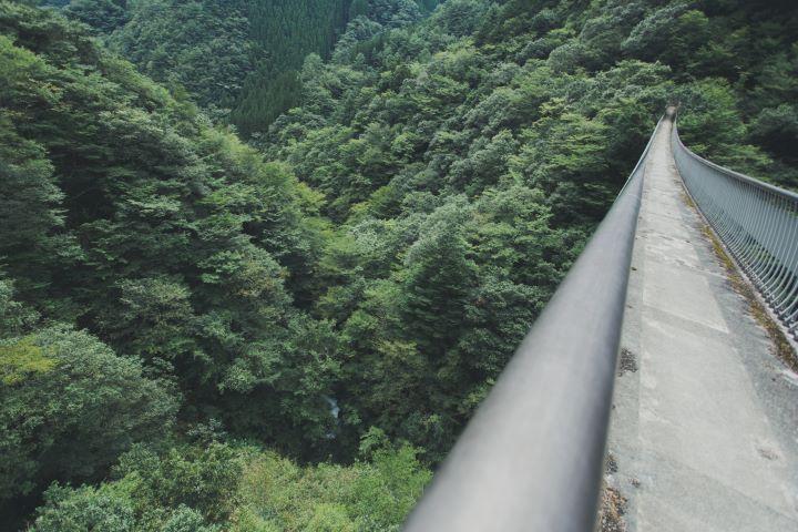 吊り橋から見える渓流の写真