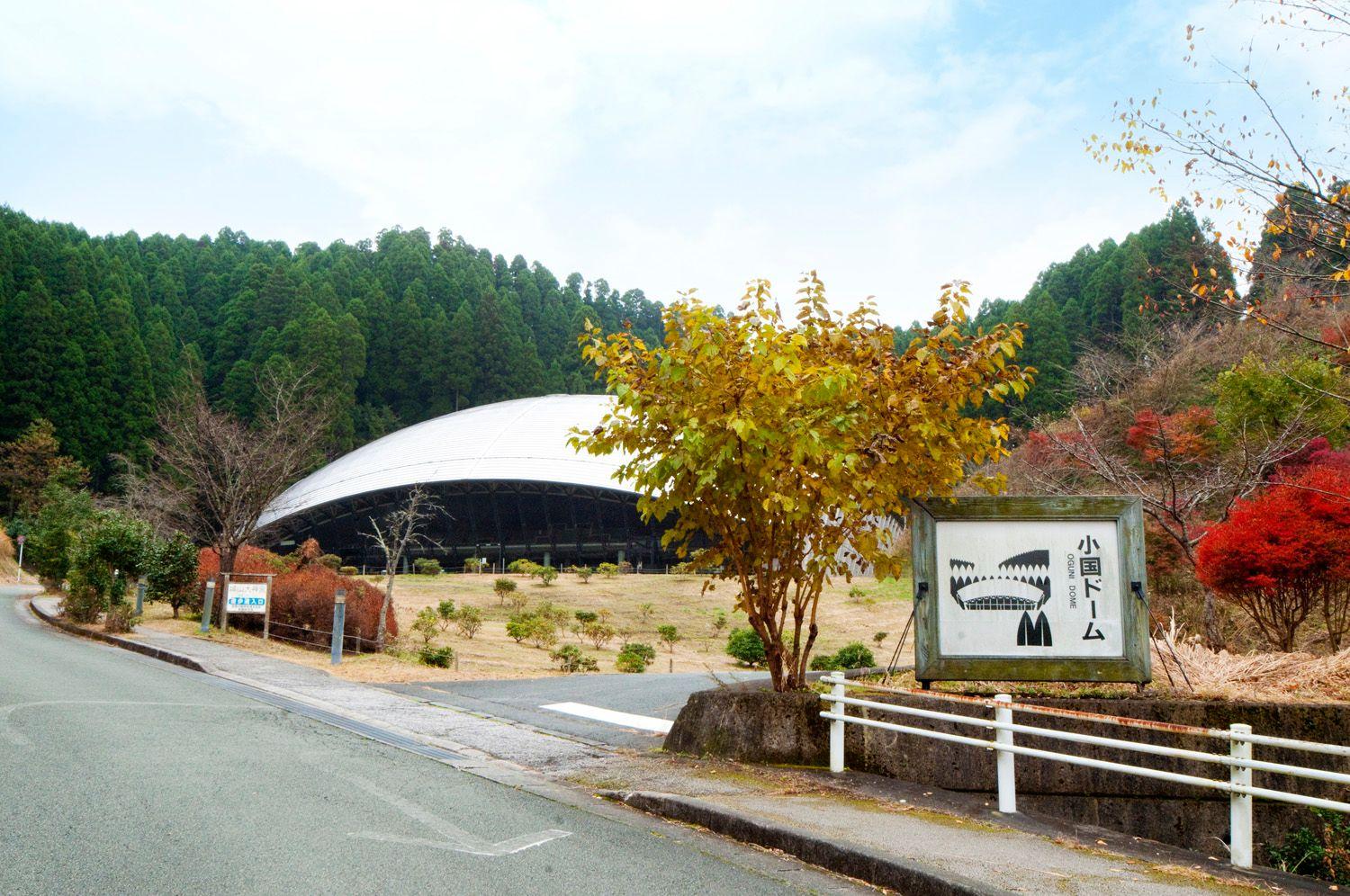 小国ドーム 観光地 公式 熊本県観光サイト もっと もーっと くまもっと