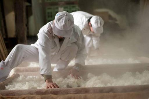 画像：菊池川流域の酒造り