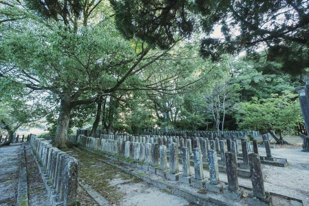 写真：官軍兵士の墓