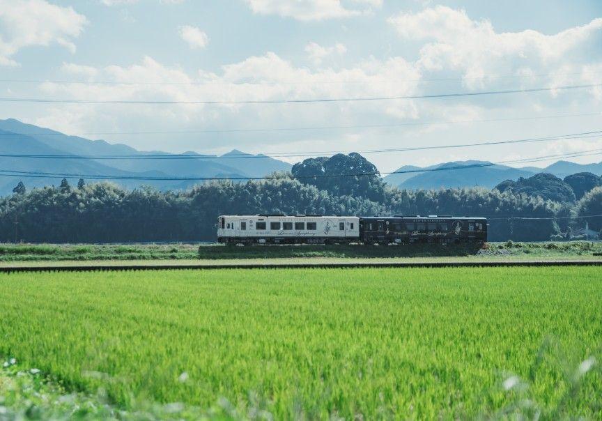 写真：田園の中を走る列車