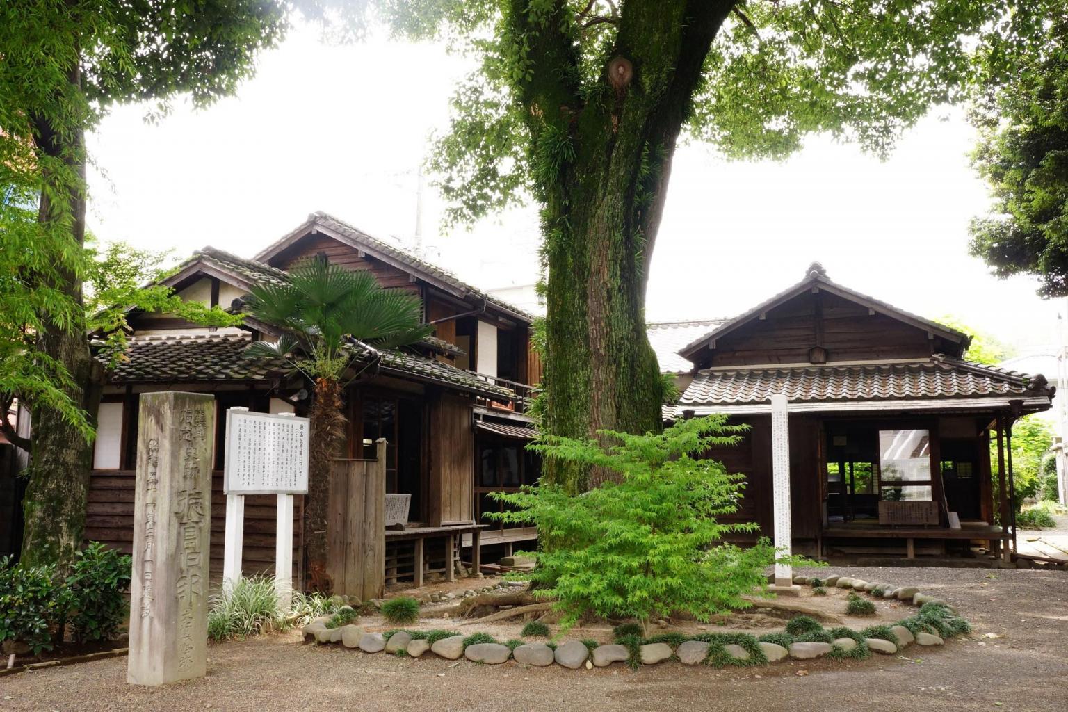 画像:徳富記念園