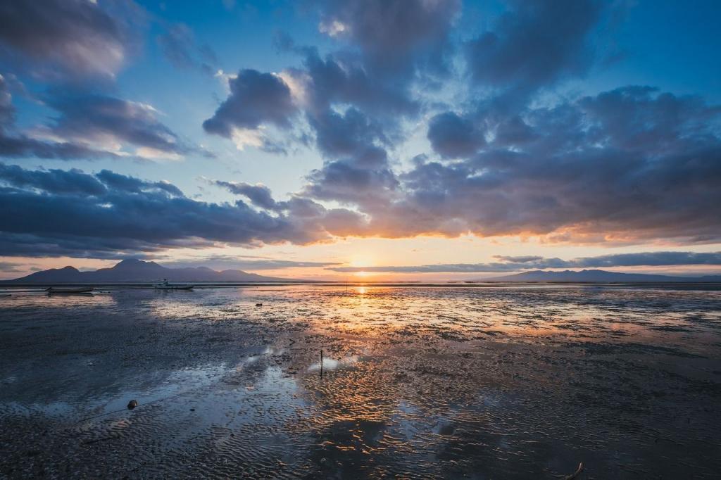 写真：荒尾干潟と夕日