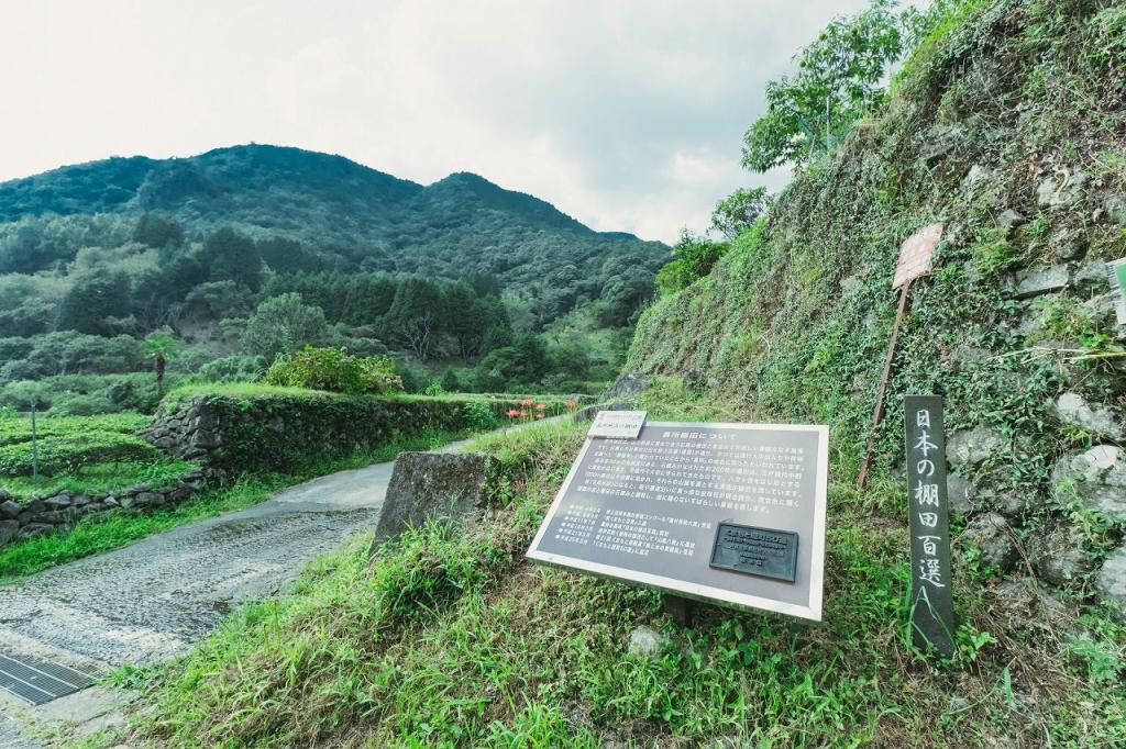 写真：棚田と棚田についての看板