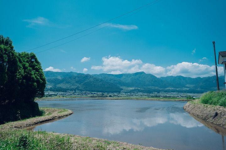 写真：湧沢津水源付近の水田