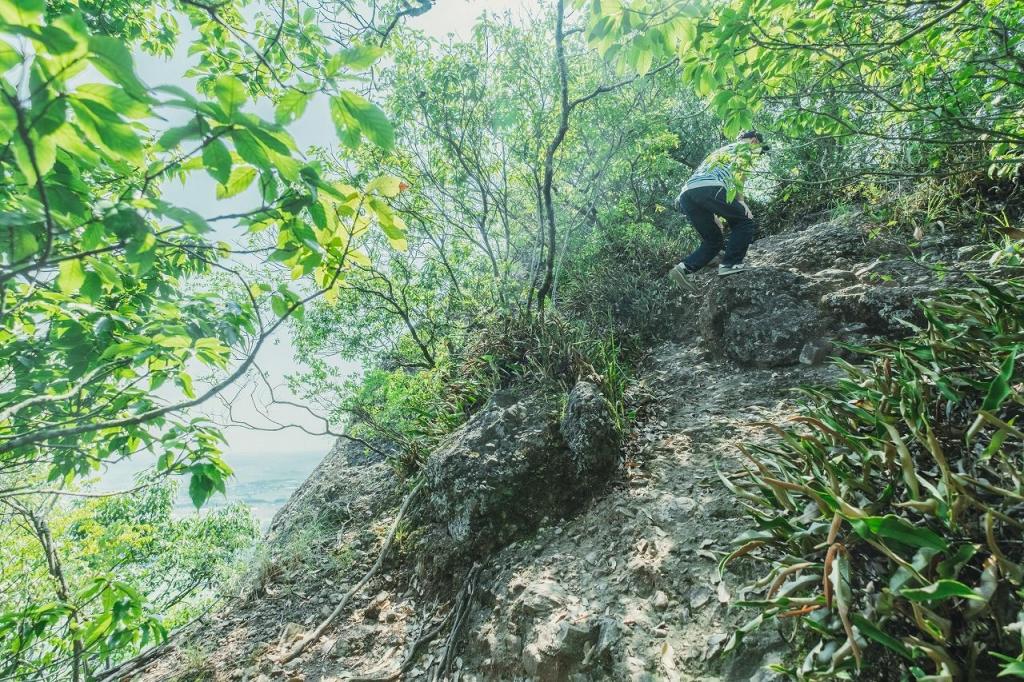 写真：険しい山道を登っていると絶景が見える