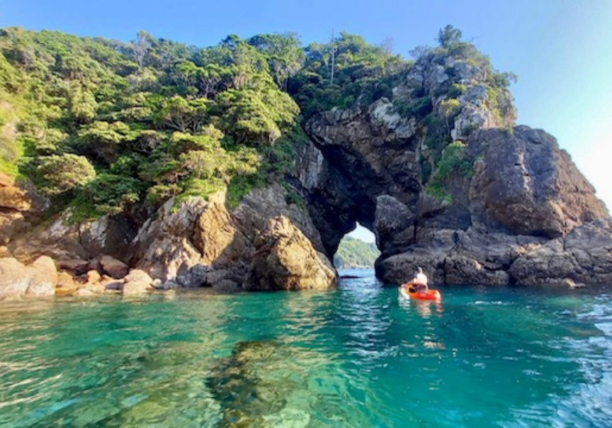 写真：カヤックや泳ぎ釣り