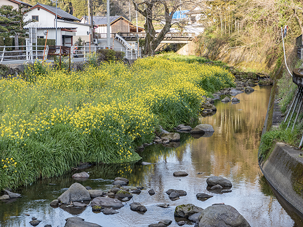 徳富蘇峰先生誕生地碑の画像