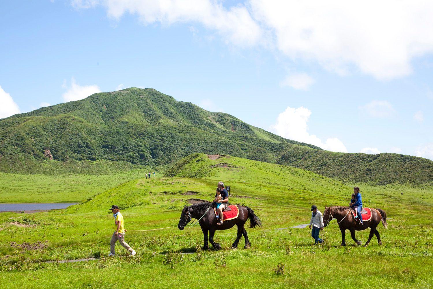 阿蘇草千里乗馬クラブ 観光地 公式 熊本県観光サイト もっと もーっと くまもっと