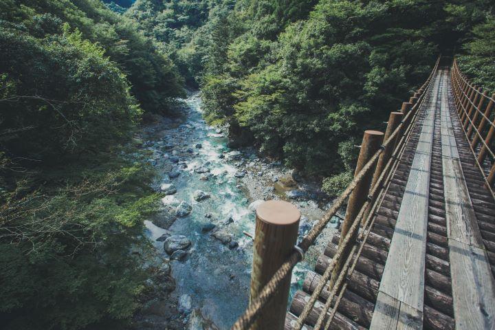 橋から見える渓流の写真
