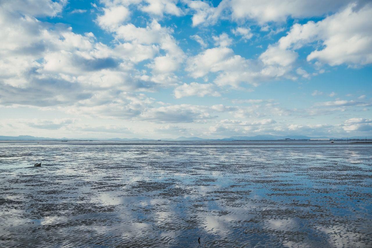 写真：遠くまで広がる干潟