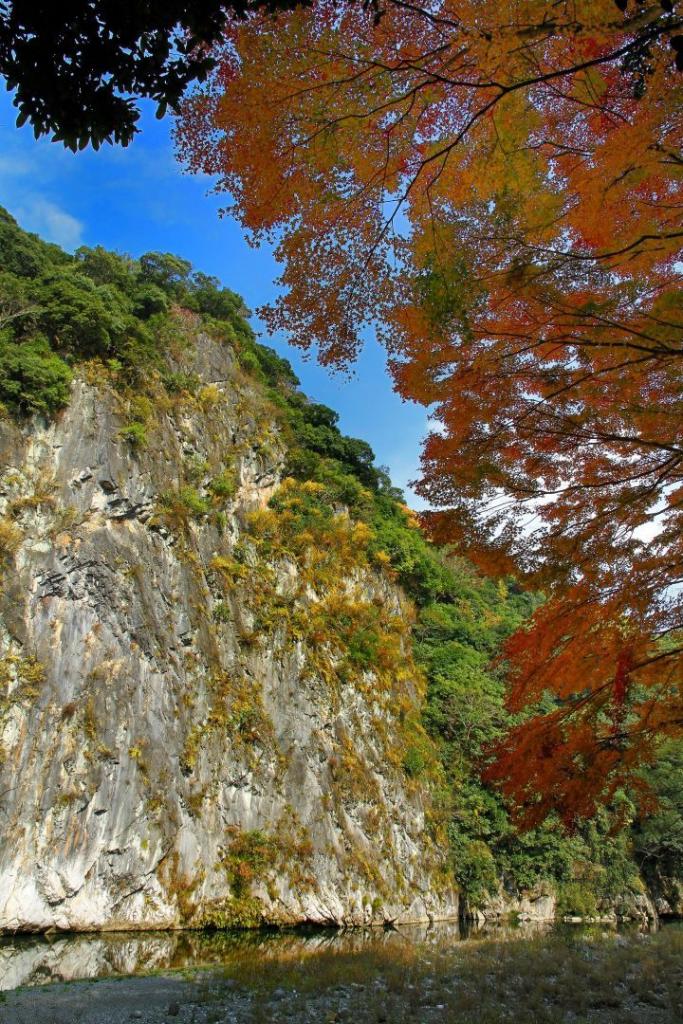 紅葉と岩壁の写真
