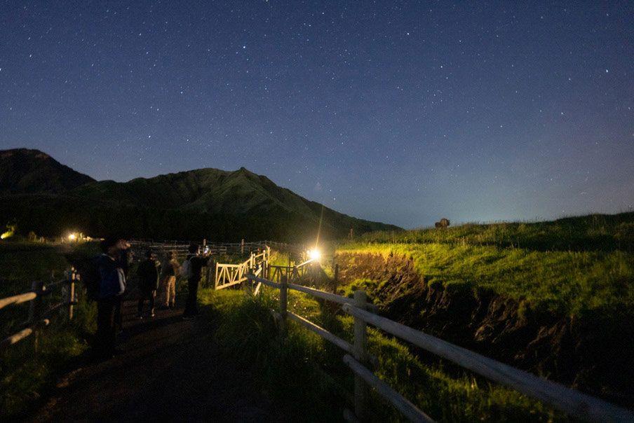 夜、満天の星空の下で草原の中の通路をイベント参加者が歩く様子の写真