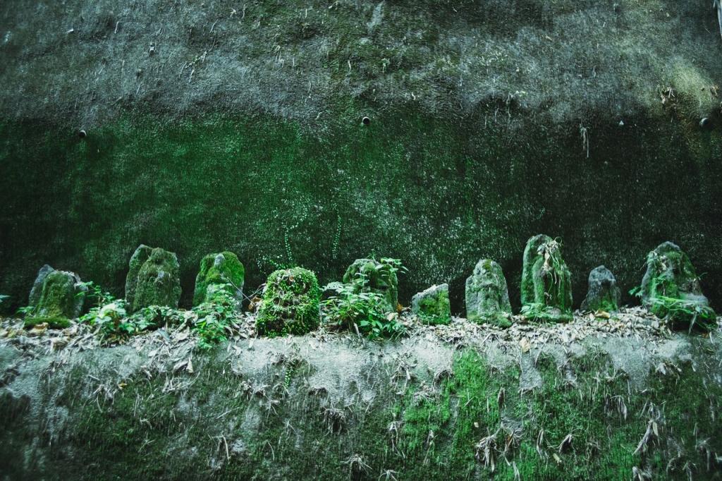 写真：苔に覆われたお地蔵様