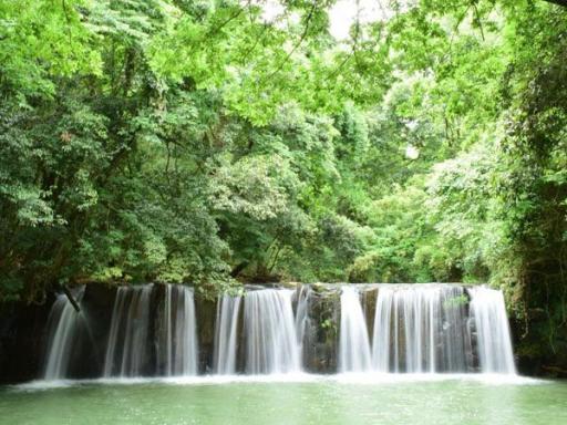 熊本県山鹿市 釘の花の滝「滝のカーテン」