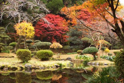 画像：的石御茶屋跡